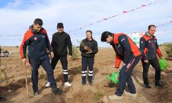 Burdur'da Valilik 100. Yıl Hatıra Ormanı oluşturuldu