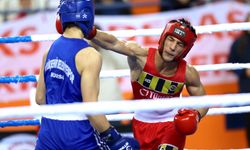Gençler Türkiye Ferdi Boks Şampiyonası sona erdi