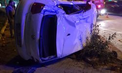Adana'da ağaca çarpan otomobilin sürücüsü yaralandı