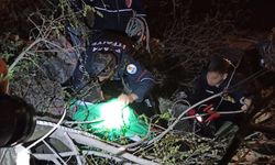 Adana'da sulama kanalına düşen otomobilin sürücüsü yaralandı