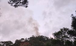 Antalya'da ormanlık alanda çıkan yangına müdahale ediliyor