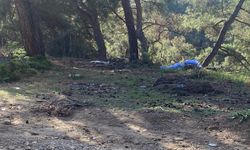 Antalya'da karısını av tüfeğiyle öldüren kişi intihar etti