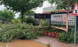 Adana'da sağanak etkisini sürdürüyor