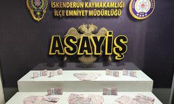 Hatay'da dolandırıcılık operasyonunda 2 şüpheli yakalandı