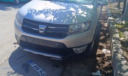 Isparta'da sahipsiz köpekler park halindeki araca zarar verdi