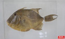 Depremler nedeniyle açılışı ertelenen su altı müzesi 27 Mayıs'ta ziyaretçilerini ağırlayacak