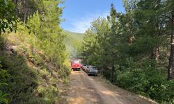 Antalya'nın Manavgat ilçesinde ormanlık alandaki yangın kontrol altına alındı