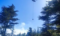 Adana'da çıkan orman yangınına müdahale ediliyor