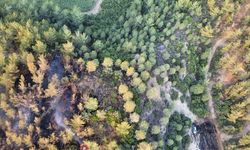 Adana'da ormanlık alanda çıkan yangın kontrol altına alındı