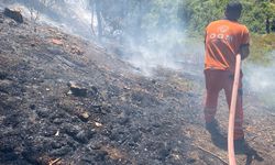 Hatay'da çıkan orman yangını kontrol altına alındı