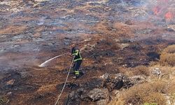 Hatay'da makilik alanda çıkan yangın söndürüldü