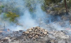 Hatay'da otluk ve ağaçlık alanda çıkan yangın söndürüldü