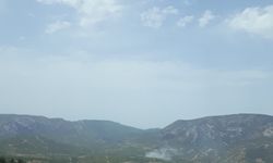 Mersin'de çıkan orman yangını kontrol altına alındı