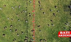 Kırkpınar'da bazı başpehlivanların ön eleme müsabakaları 4 Temmuz'da