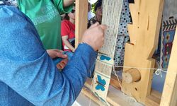 Adana'da "Saimbeyli Kelebeği Gözlem ve Fotoğrafçılık Haftası" etkinliği yapıldı