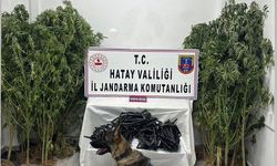 Belen'de uyuşturucu operasyonunda 1 şüpheli yakalandı