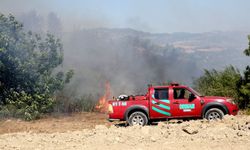 GÜNCELLEME 3 - Adana'da çıkan orman yangınına müdahale ediliyor