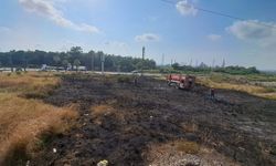 İskenderun'da otluk alanda çıkan yangın söndürüldü