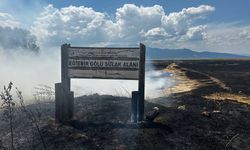 Isparta'da Eğirdir Gölü kıyısındaki sazlıkta çıkan yangın kontrol altına alındı