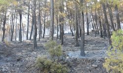 GÜNCELLEME - Antalya'nın Serik ilçesindeki orman yangını kontrol altına alındı