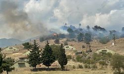 Askeri kışladaki ağaçlık alanda çıkan yangın kontrol altına alındı