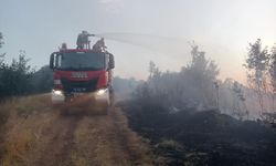 Genç ilçesinde çıkan orman yangınına müdahale ediliyor