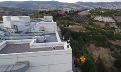 Göç yolundaki leylekler Demirci ilçesinde mola verdi