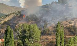 Ormanlık alanda çıkan yangın kontrol altına alındı