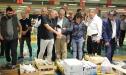 Denizde palamut bolluğu esnafın yüzünü güldürdü