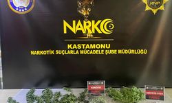 Balkonda Hint keneviri yetiştiren kişi yakalandı