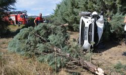 Şarampole devrilen otomobildeki anne ve ikiz bebekleri yaralandı
