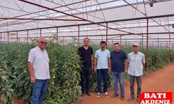 Demre Kaymakamı Bağlı Seralarda incelemerde bulundu
