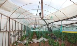 Hortum ev ve seralara zarar verdi