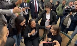 Sinan Ateş'in ablasına yumruklu saldırı