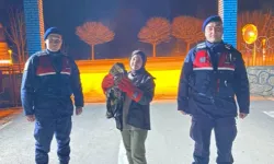 Yaralı kızıl şahin tedaviye alındı