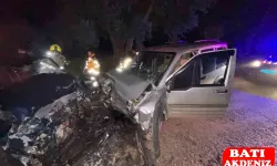 Trafik kazasında 1 kişi öldü 1 kişi yaralandı