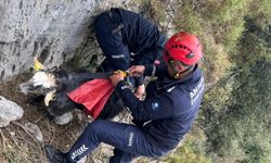 Büyükşehir Belediyesi İtfaiye ekiplerinden keçi kurtarma operasyonu