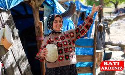 Sosyal medya fenomenlerinden delbek ustalarına