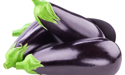 Antalya Hal Fiyatları Güncel Piyasa