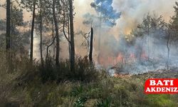 Kemer'de orman yangını kontrol altına alındı