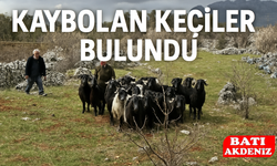 Kaybolan Keçileri jandarma Buldu