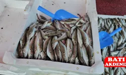 10 ton balık avladı, kilosu 50 liradan sattı