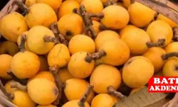 Muşmula hasadı başladı!