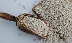 Mart'ın şampiyonu kuru fasulye!
