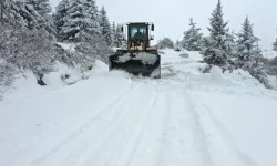 Ordu kara teslim oldu