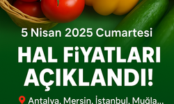 Antalya Kumluca Hal Fiyatları