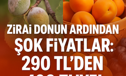 Zirai Donun Ardından Şok Fiyatlar: 290 TL’den 490 TL’ye!