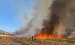 48 saatte 220 yangına müdahale