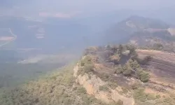 Bilecik'te yangınlar kontrol altında