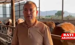 Beslediği dana hayatına maloldu
